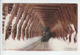 Sierra snow-shed